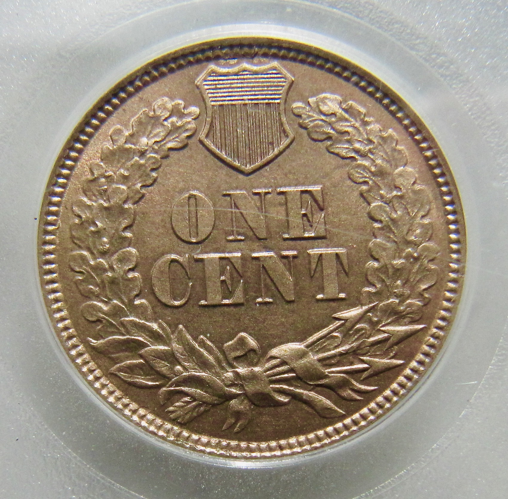 1861 Indian Head Cent MS62 REV - 1.jpg