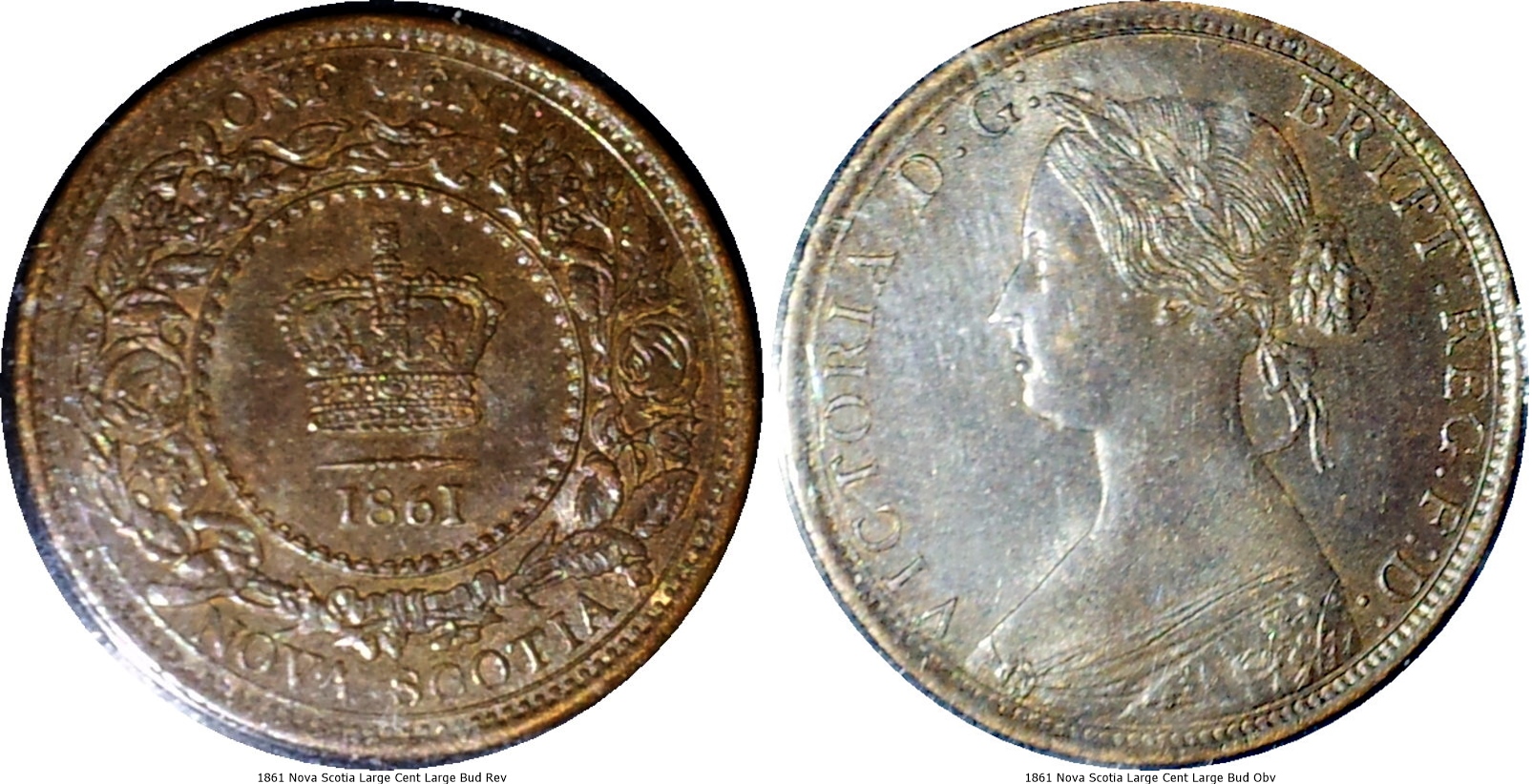 1861 Nova Scotia Large Cent Large Bud -tile.jpg