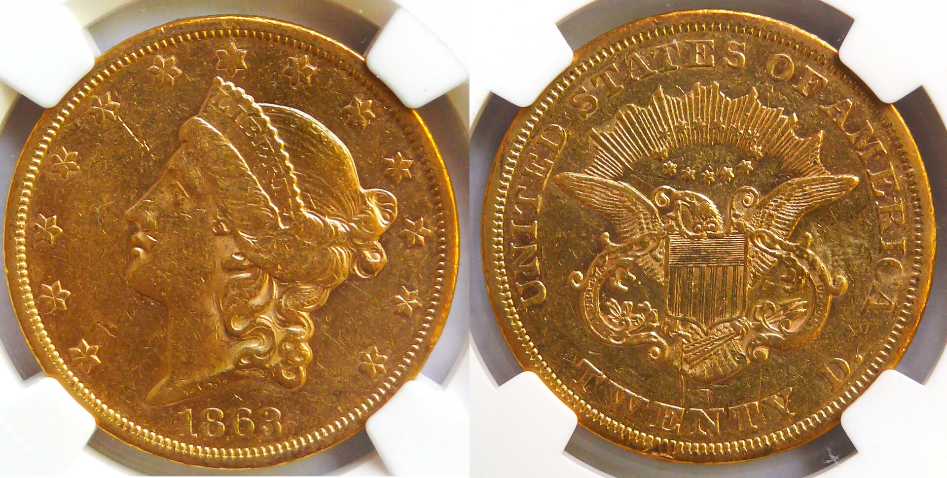 1863 S $20 NGC XF45 Composite.jpg