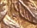 1864-L Cent L detail.jpg