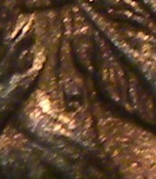 1864-L Nicon Closeup.jpg