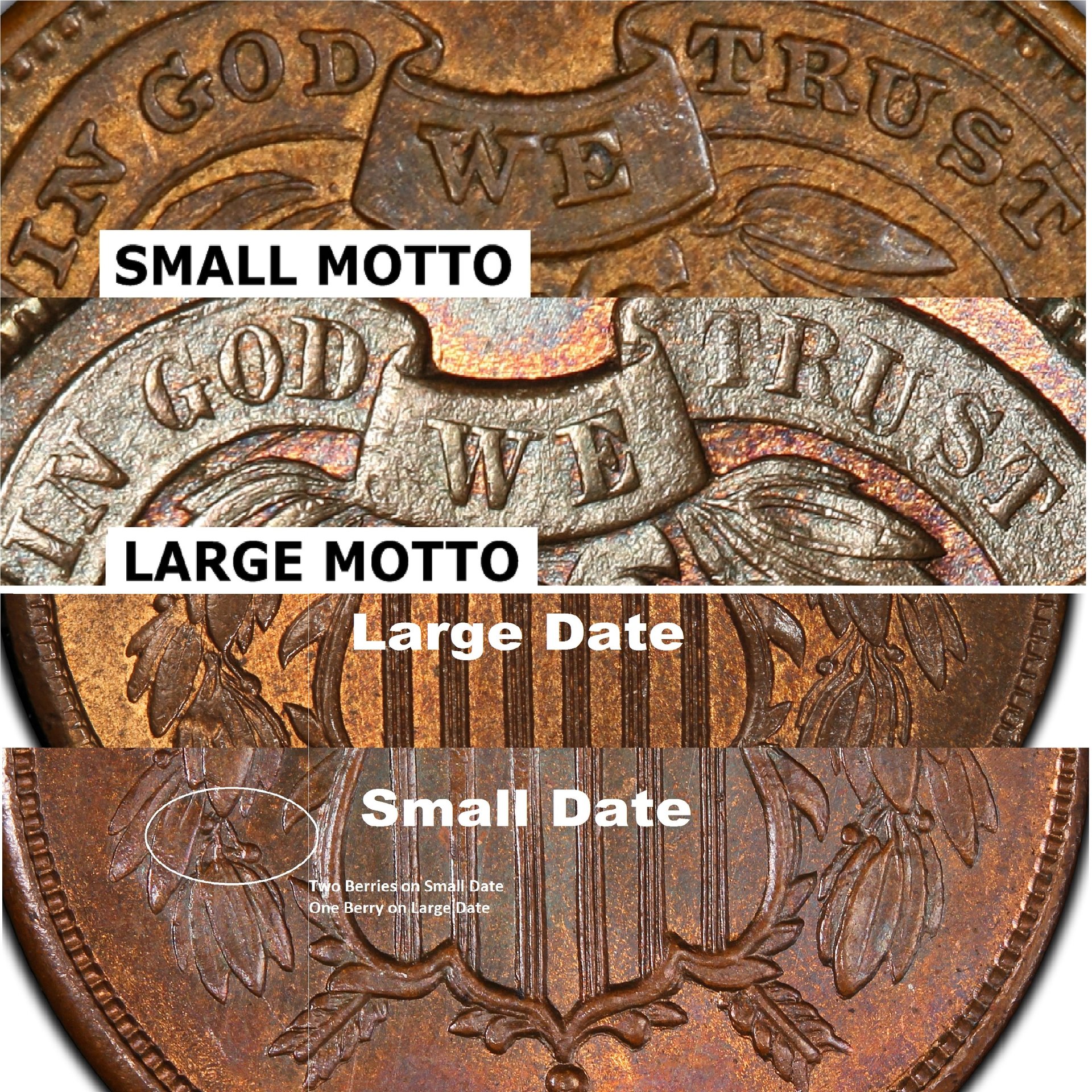 1864 Large & Small Date 2 Cent Comparision.jpg