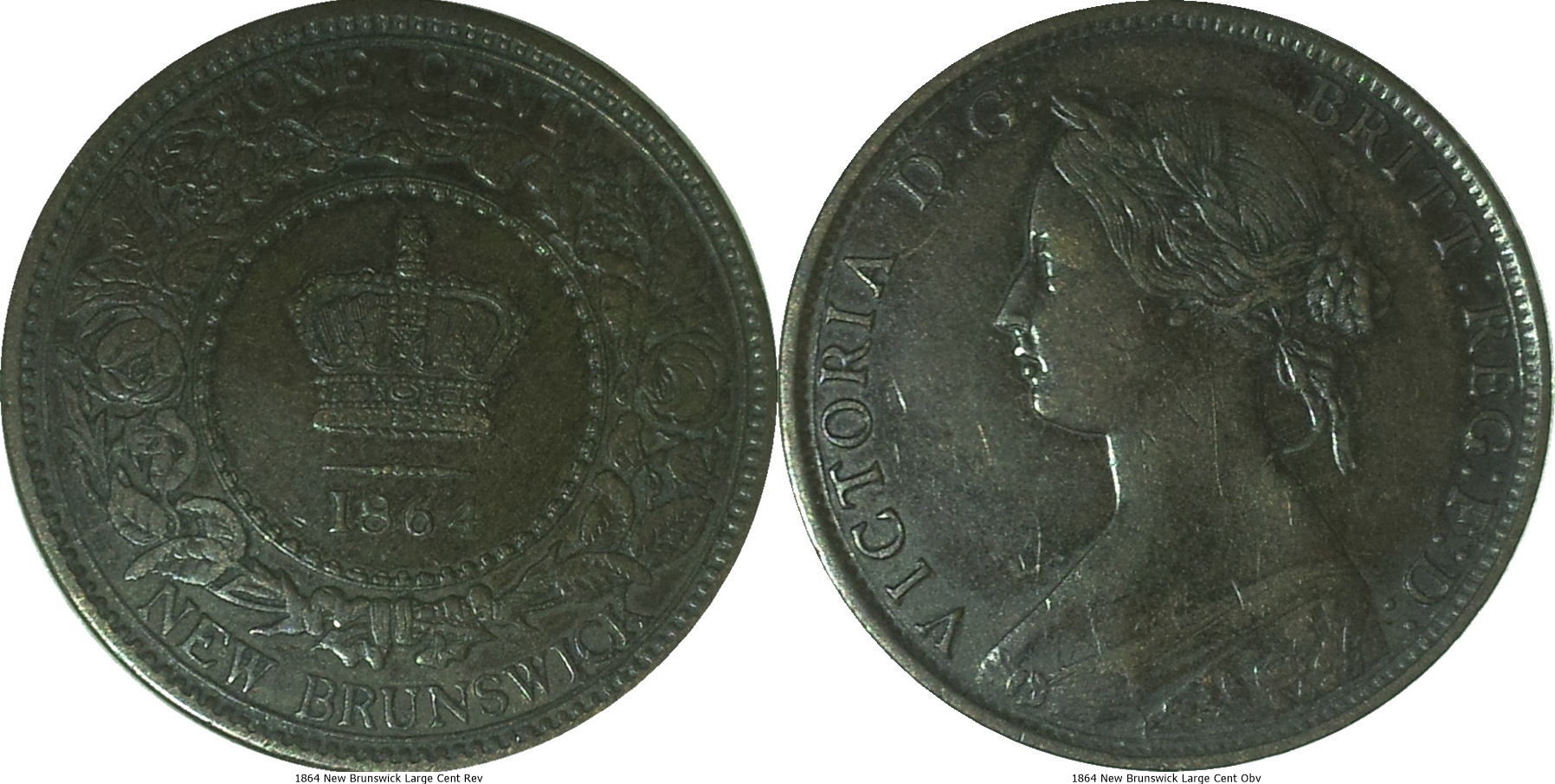 1864 New Brunswick Large Cent Rev-tile.jpg