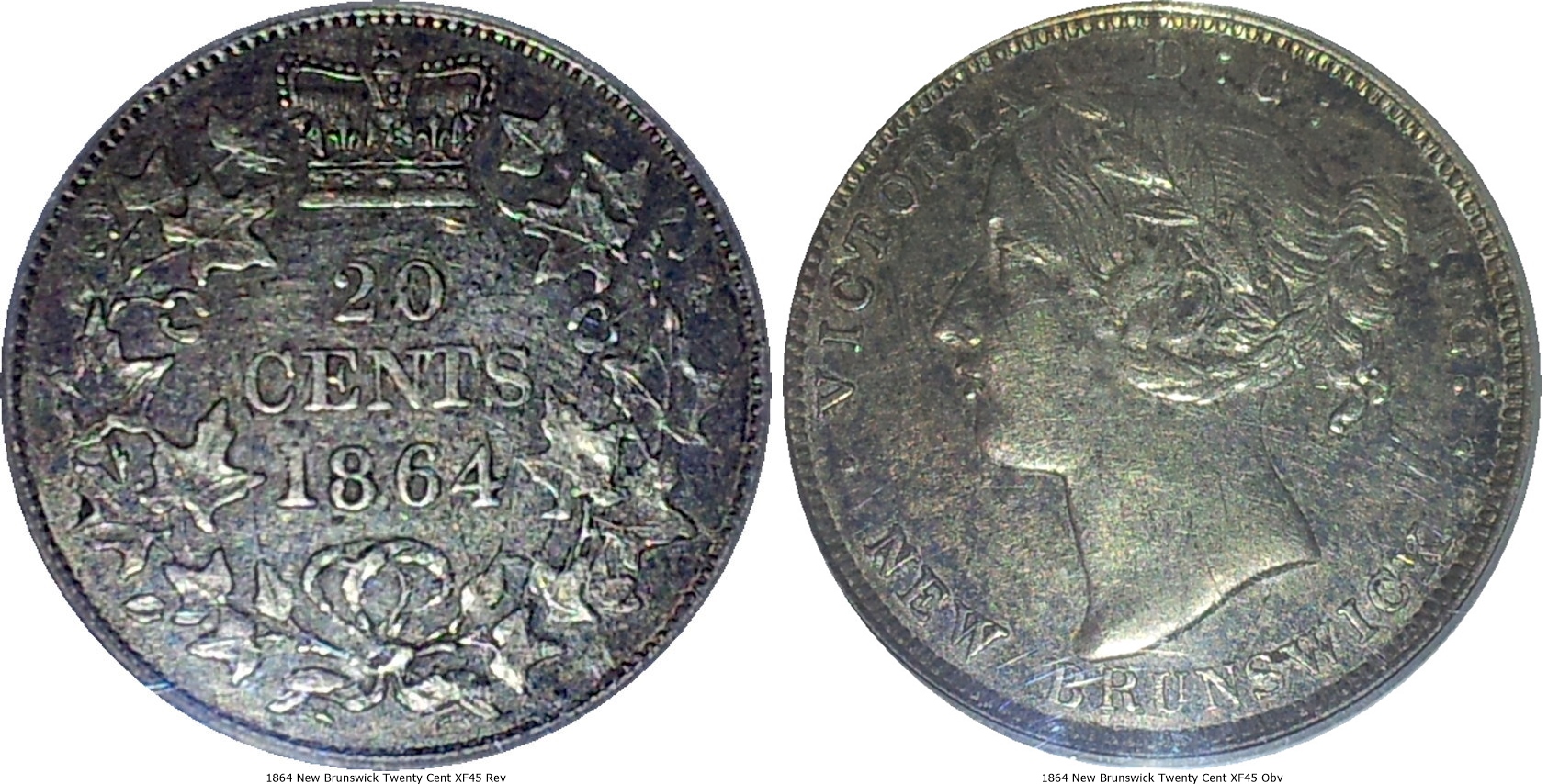 1864 New Brunswick Twenty Cent XF45 -tile.jpg