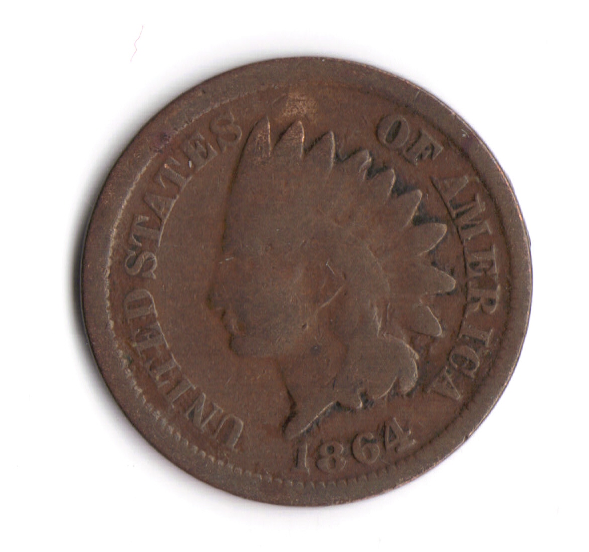 18641bronze_33.jpg
