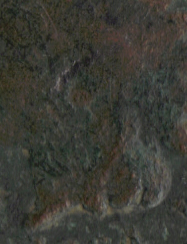 1864Lclosebust.jpg