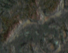 1864Lcloserbust.jpg