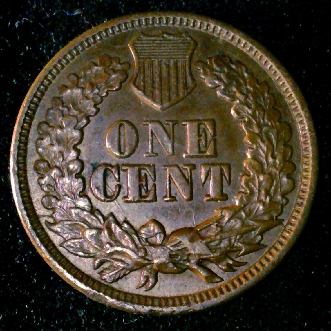 1864Lrev.jpg