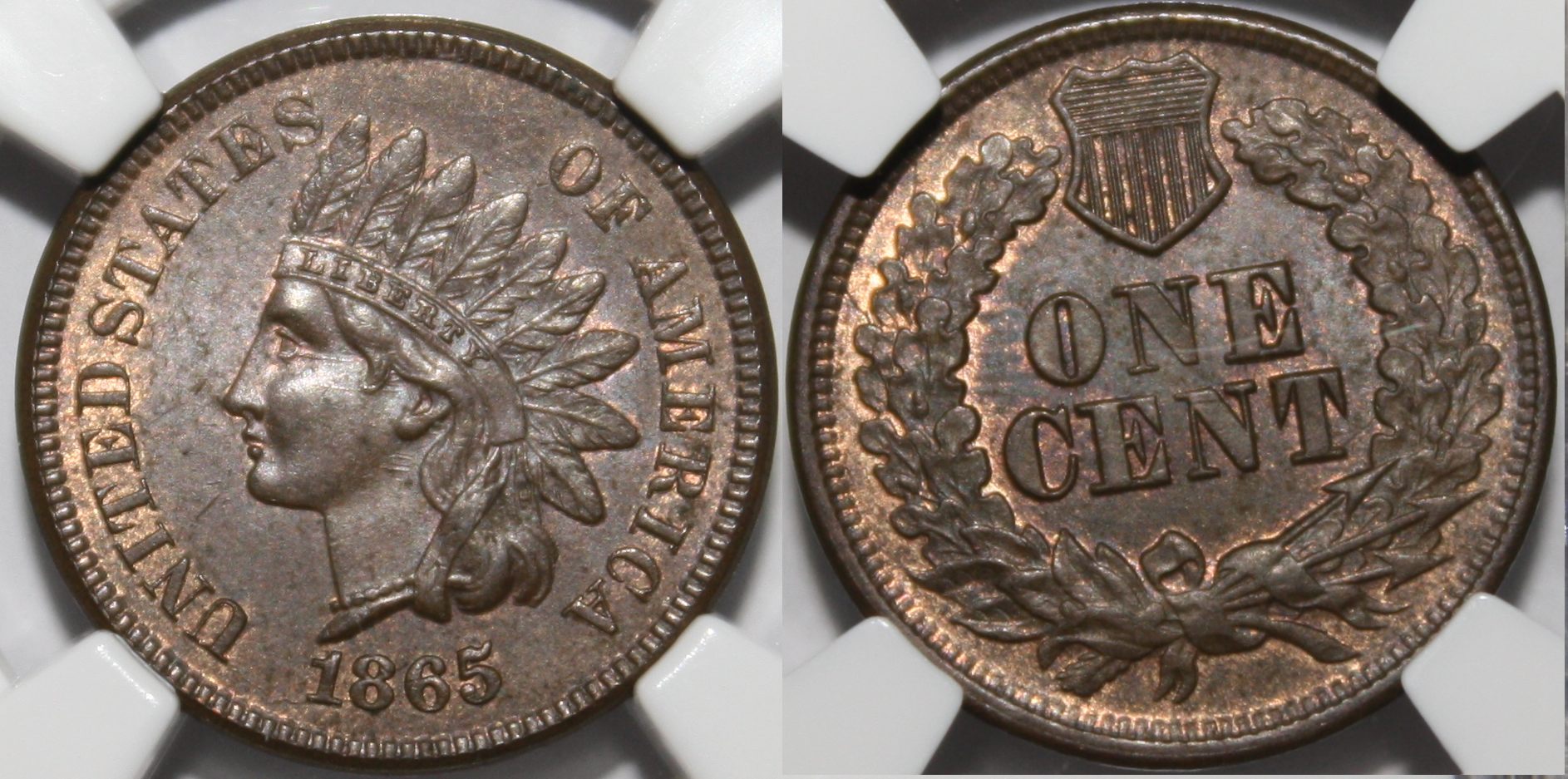 1865f5.jpg