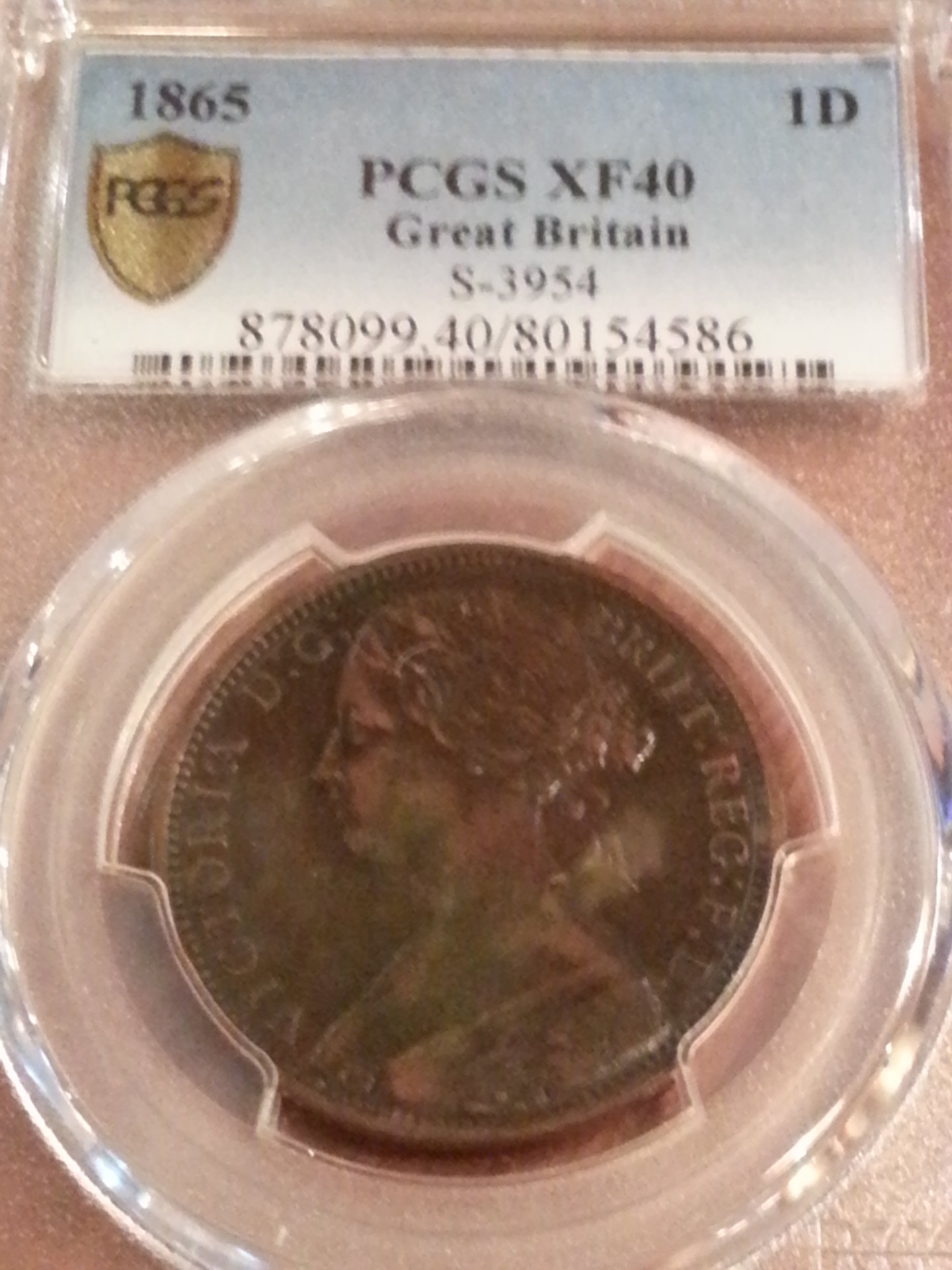 1865z.jpg