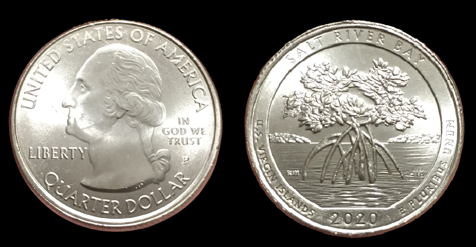 1866 5 Cents - Rays (89).png