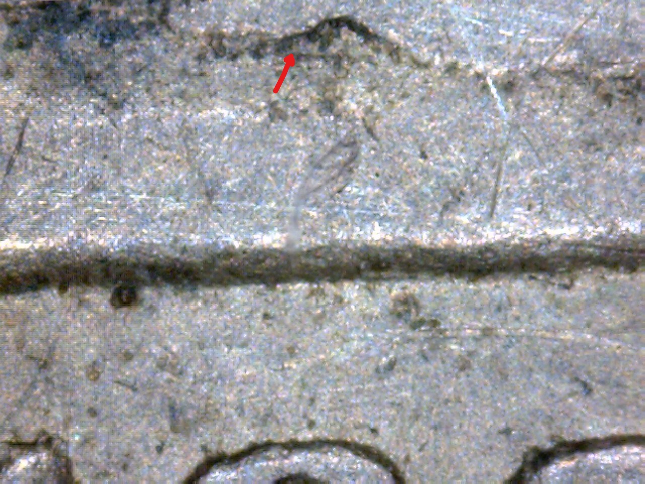 1866 S H 10 MPD base of 1_LI.jpg