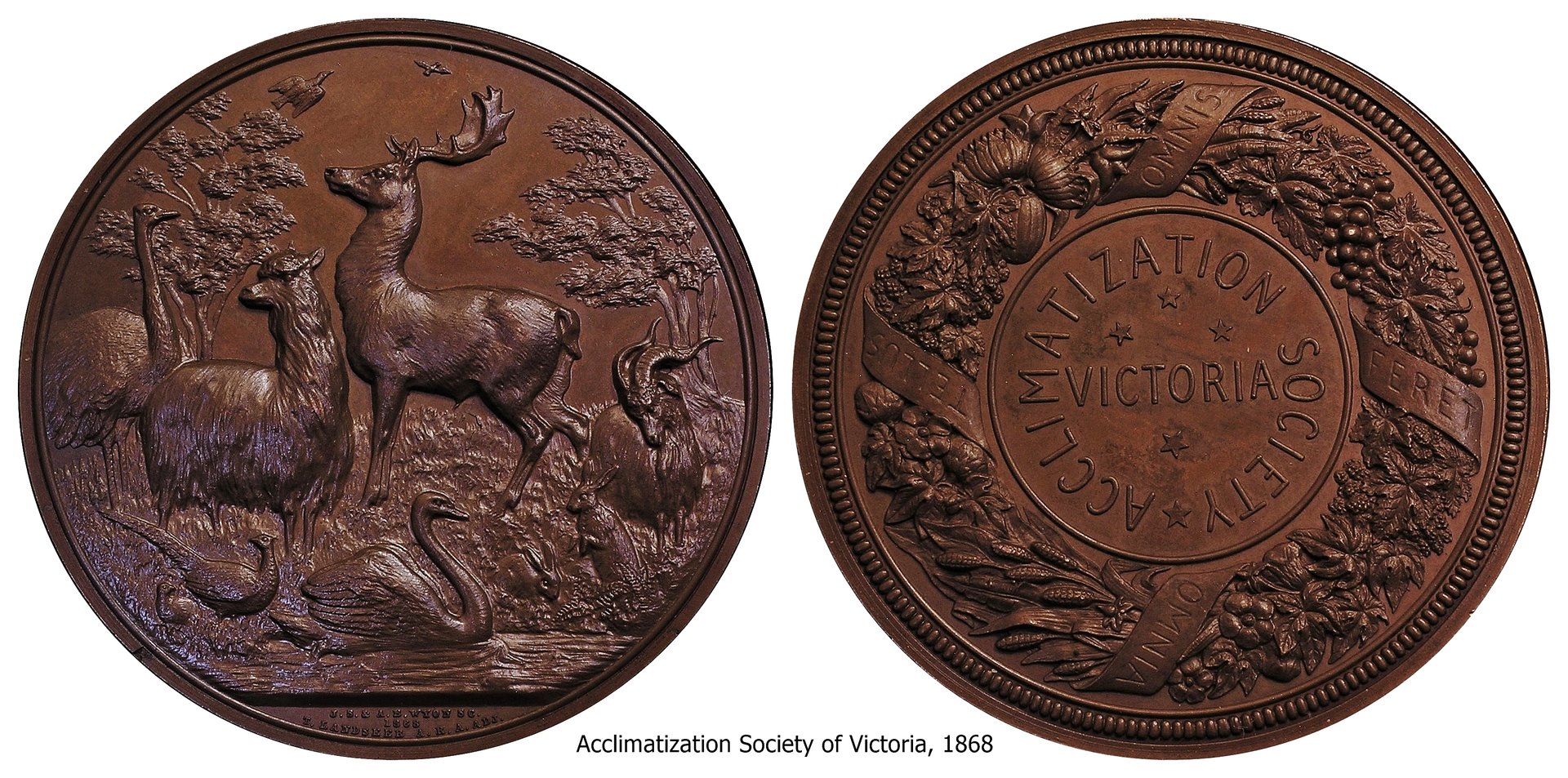 1868 Acclimatization Society2.jpg