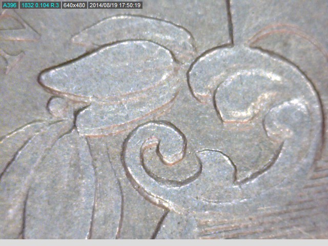 1868 DDO upper leaves.jpg