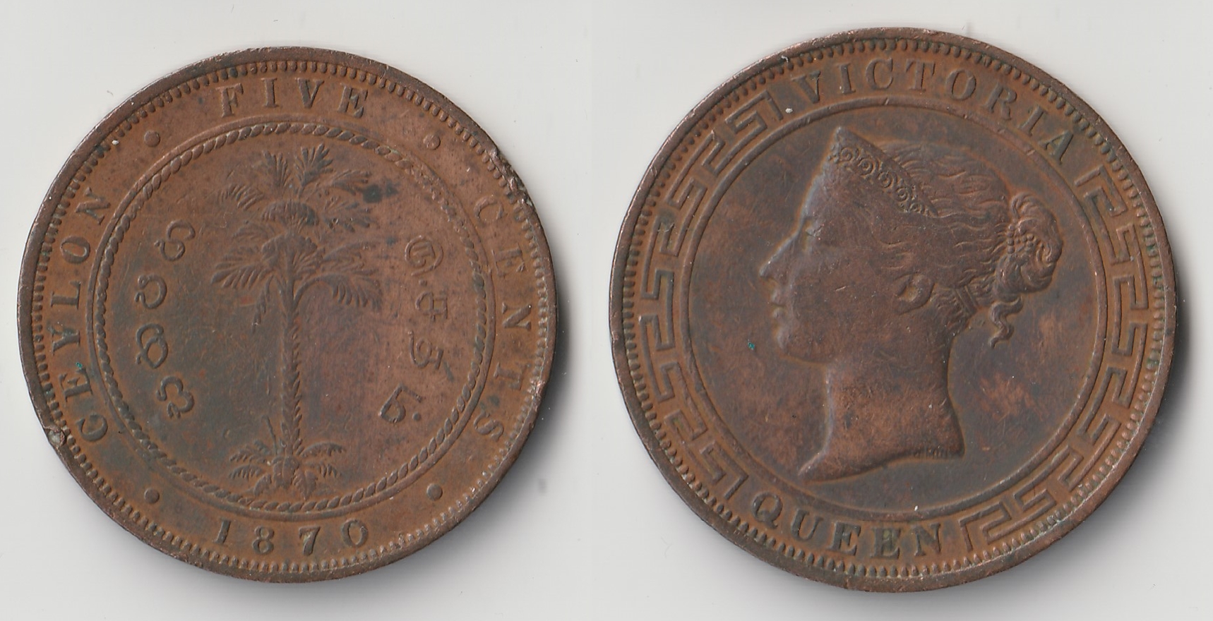 1870 ceylon 5 cents.jpg