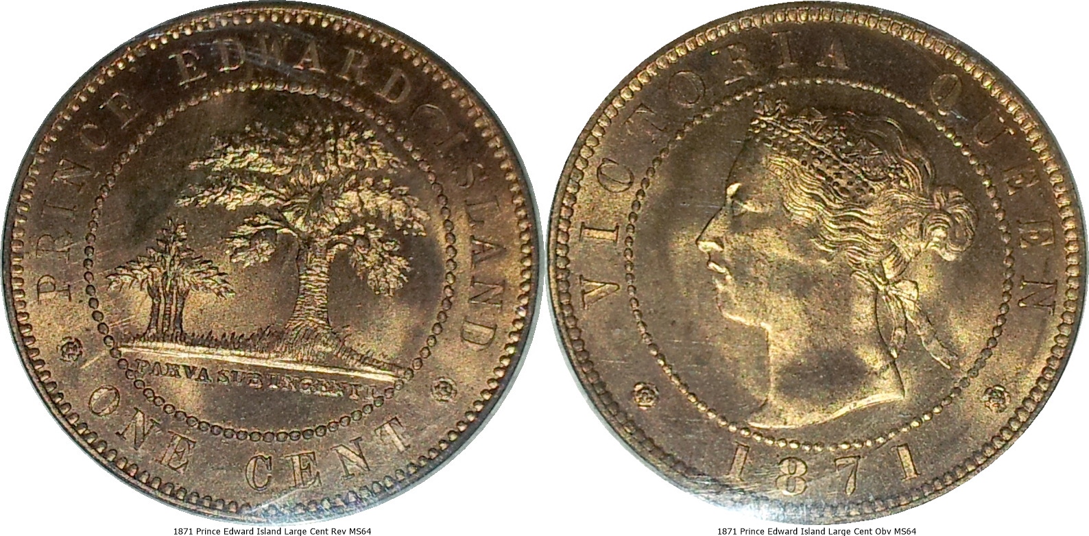 1871 Prince Edward Island Large Cent MS64-tile.jpg
