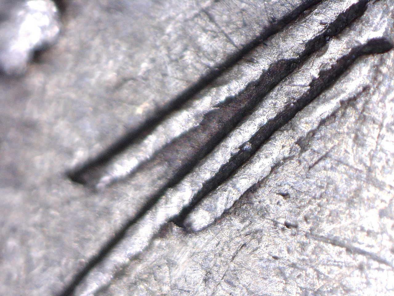 18710184156649.jpg