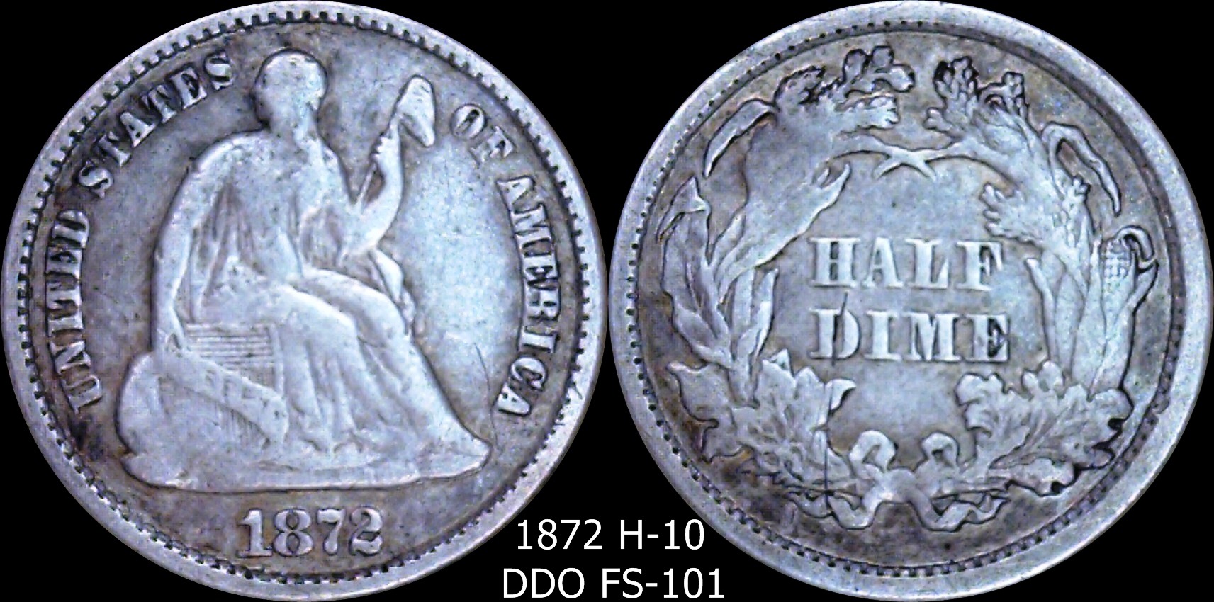 1872 h 10 ddo FS101.jpg
