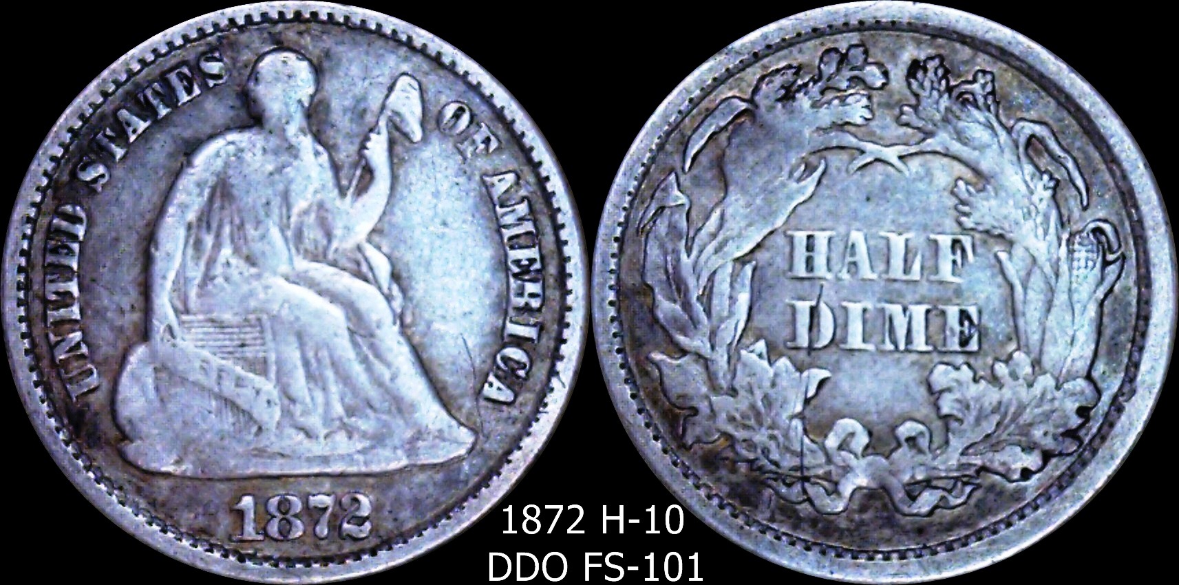 1872 h 10 ddo FS101.jpg