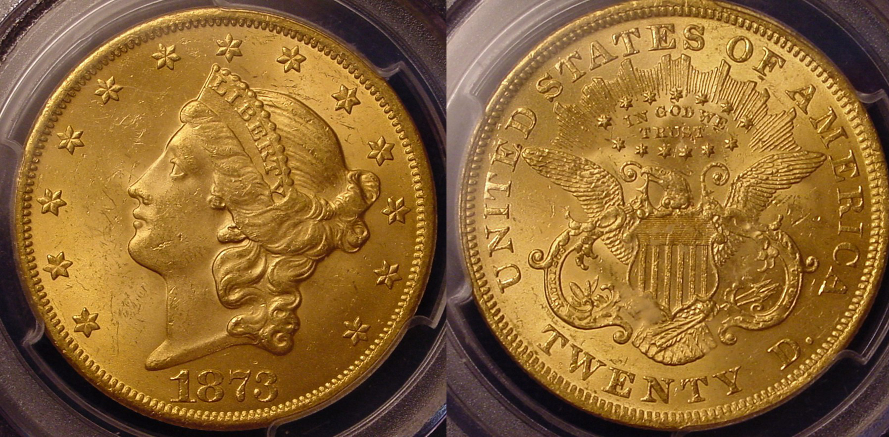 1873 $20 All.jpg
