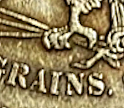 1873 dubious revtalon detail.jpg