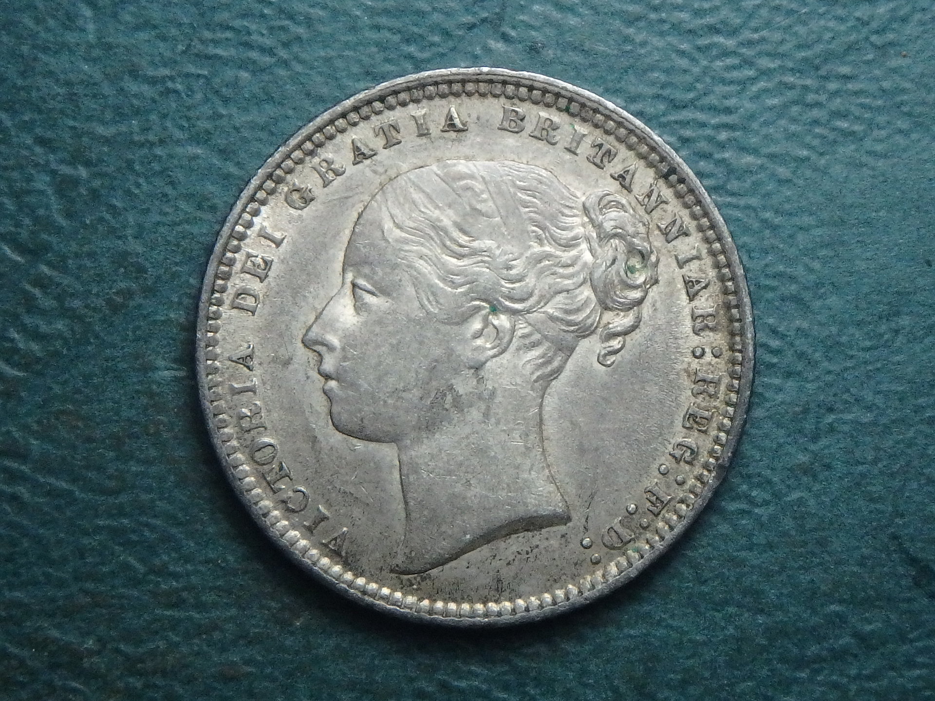 1873 GB shilling obv.JPG