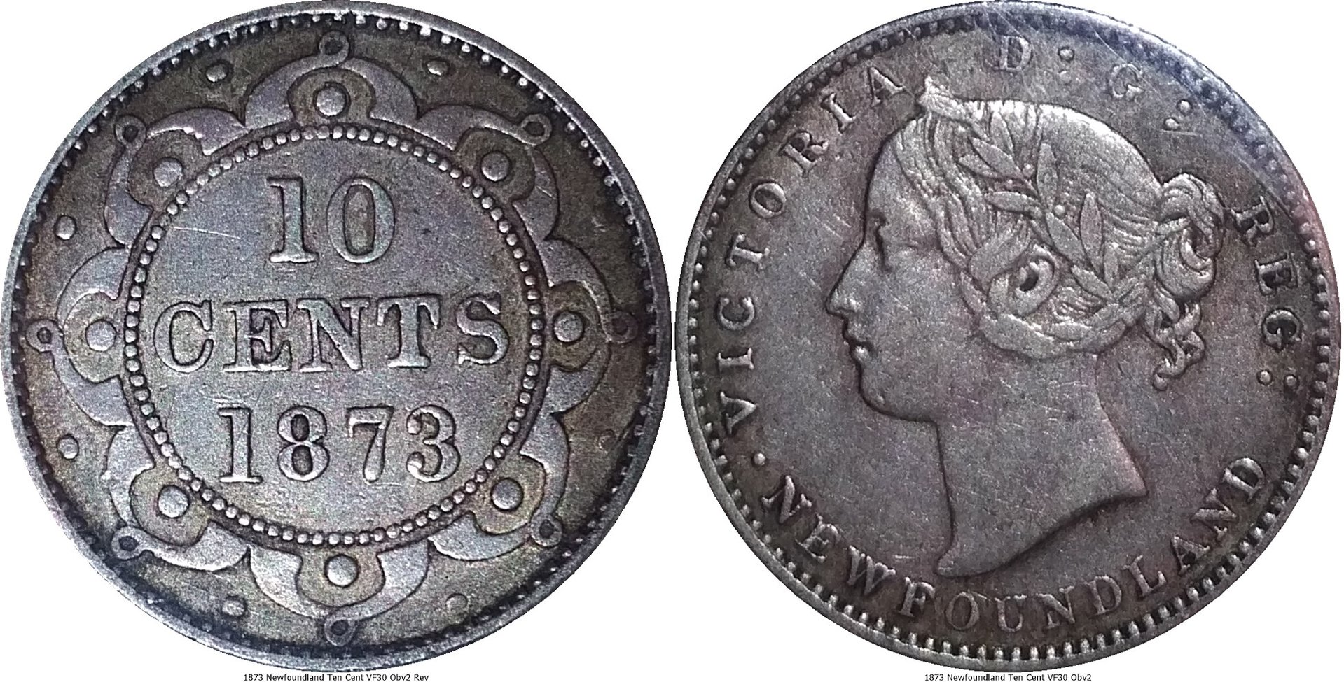 1873 Newfoundland Ten Cent VF30 Obv2 -tile.jpg