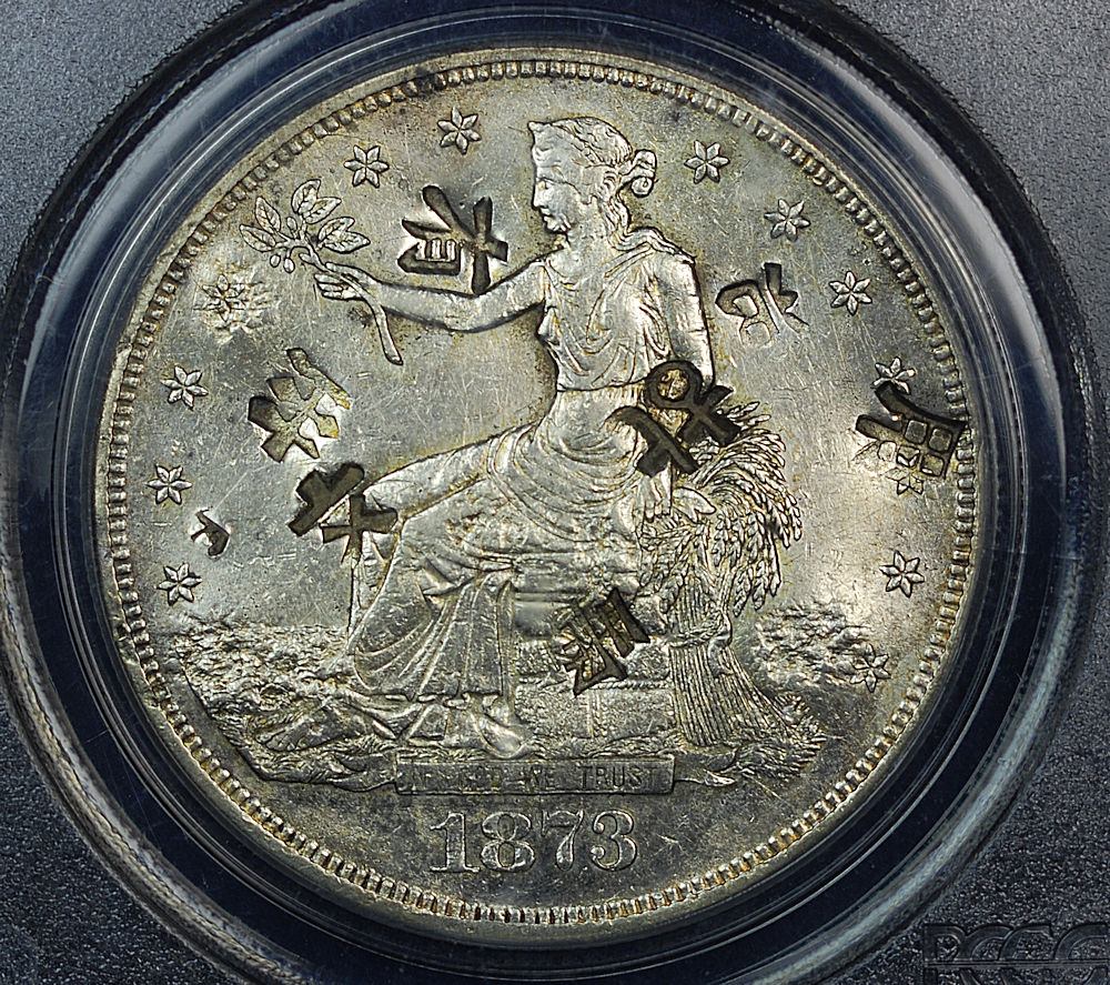 1873 s chopped obv.jpg