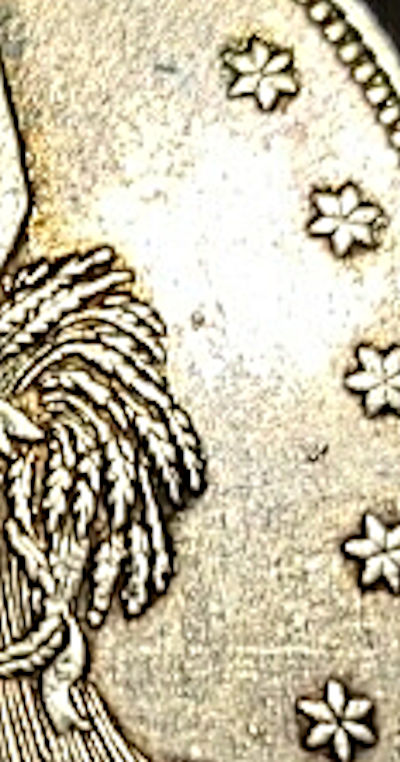 1873 TD dubious obverse right field detail.jpg