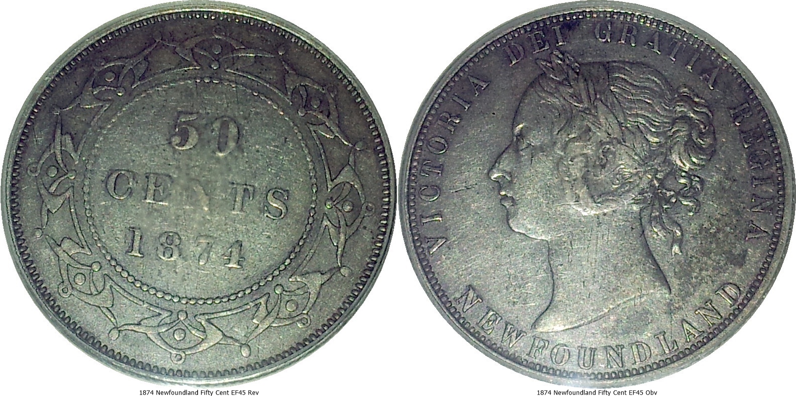 1874 Newfoundland Fifty Cent EF45 -tile.jpg