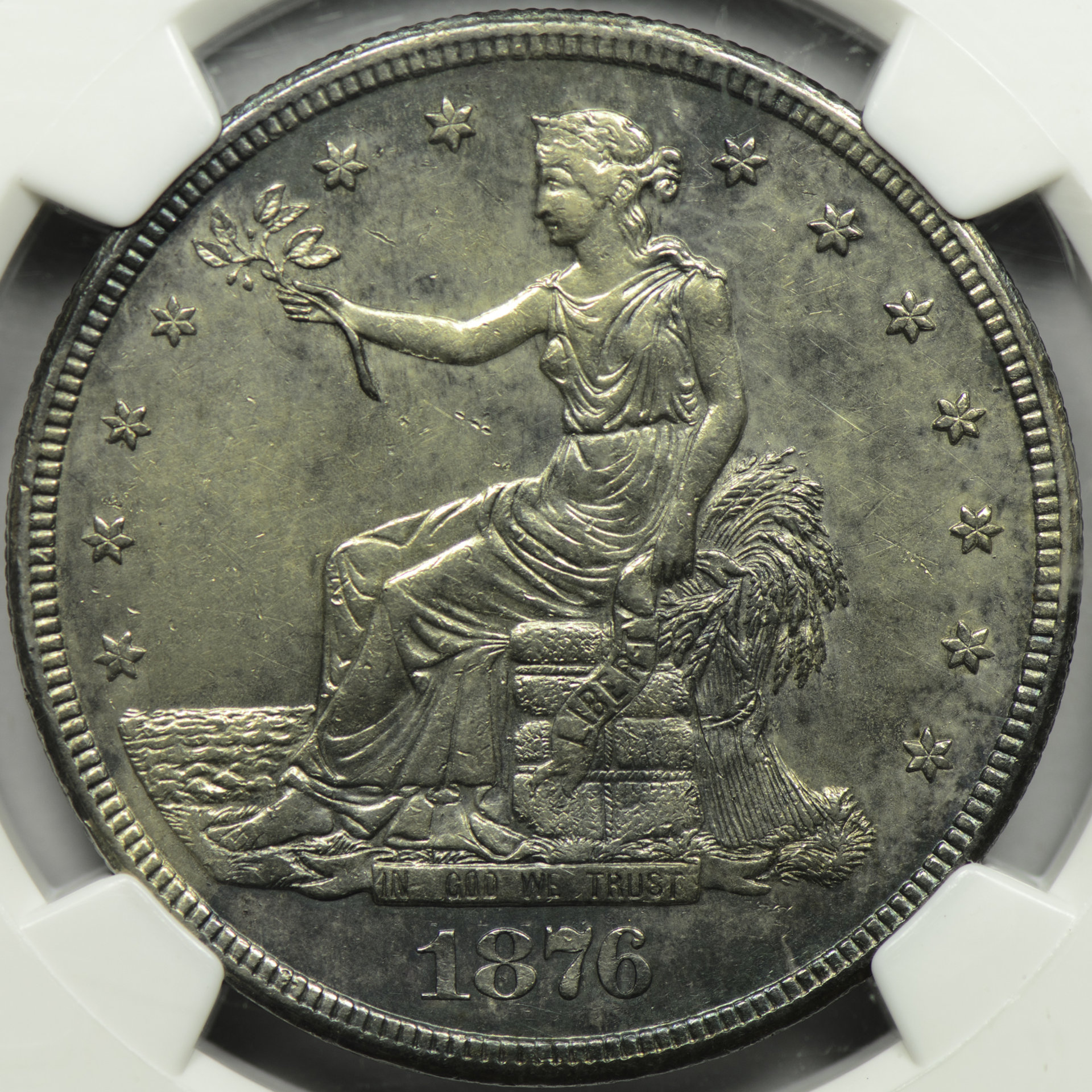 1876 S T$1 AU Details REV SPOT REMOVED Obv Closeup.jpg