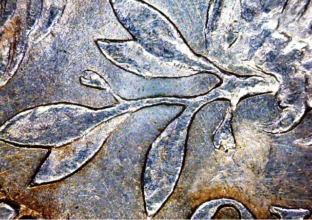 1877 CC  open bud type 1.jpg