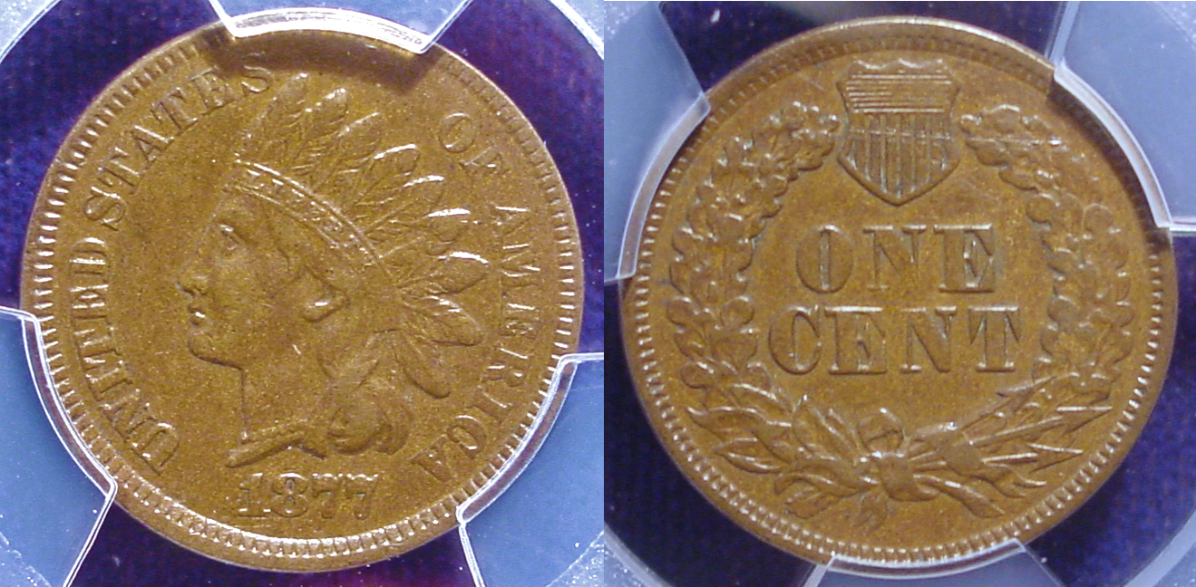 1877 Cent All.jpg