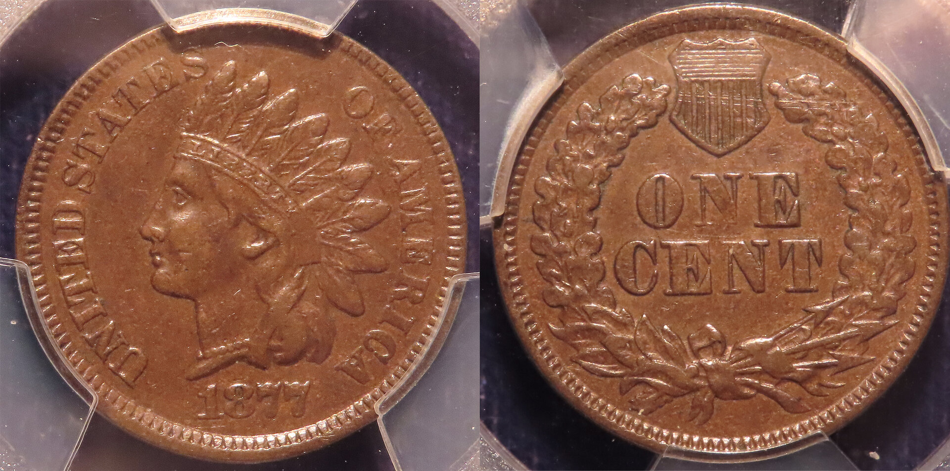 1877 Cent All.jpg