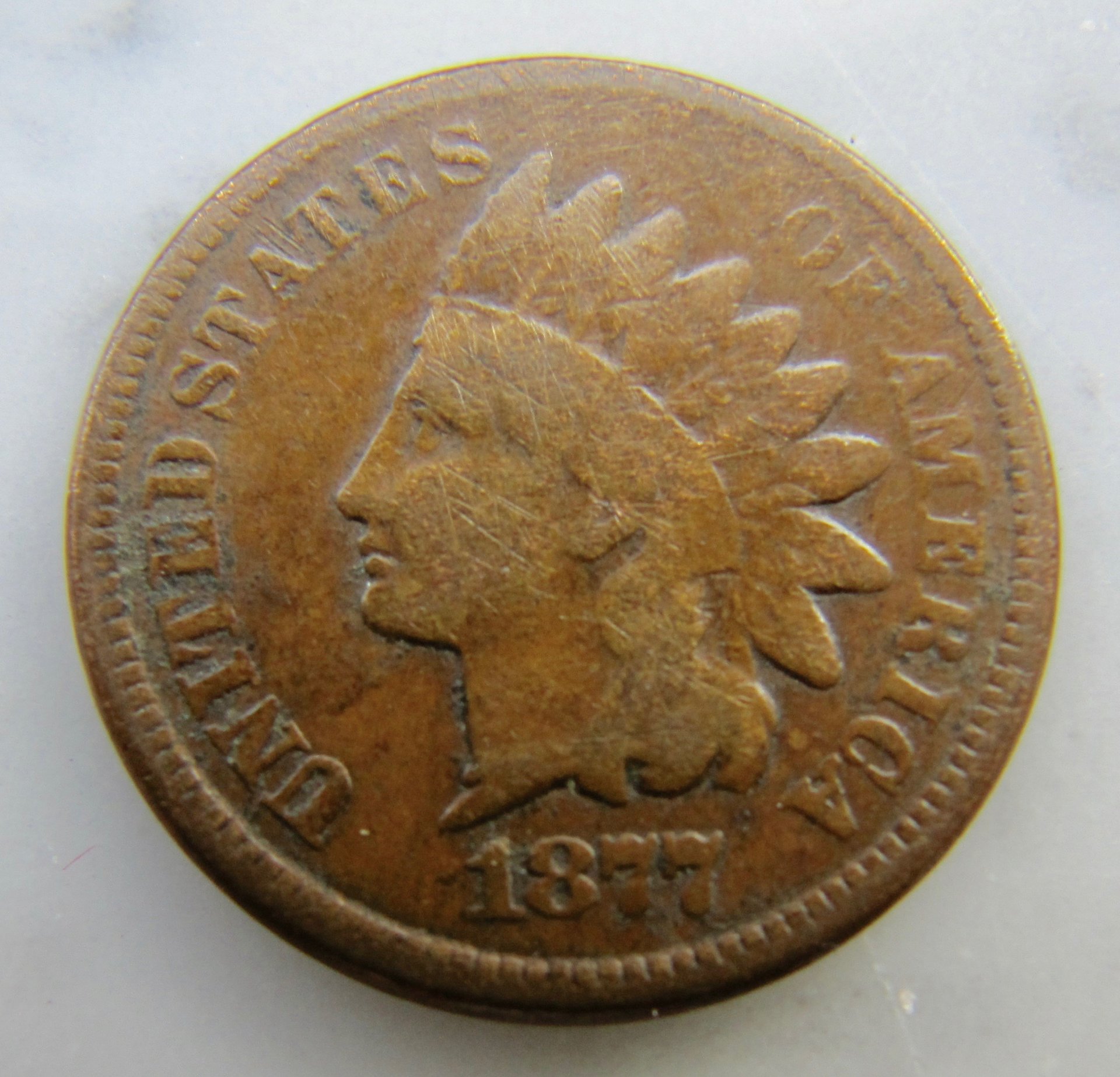 1877 cent obv1 N old pic but ok...  - 1.jpg