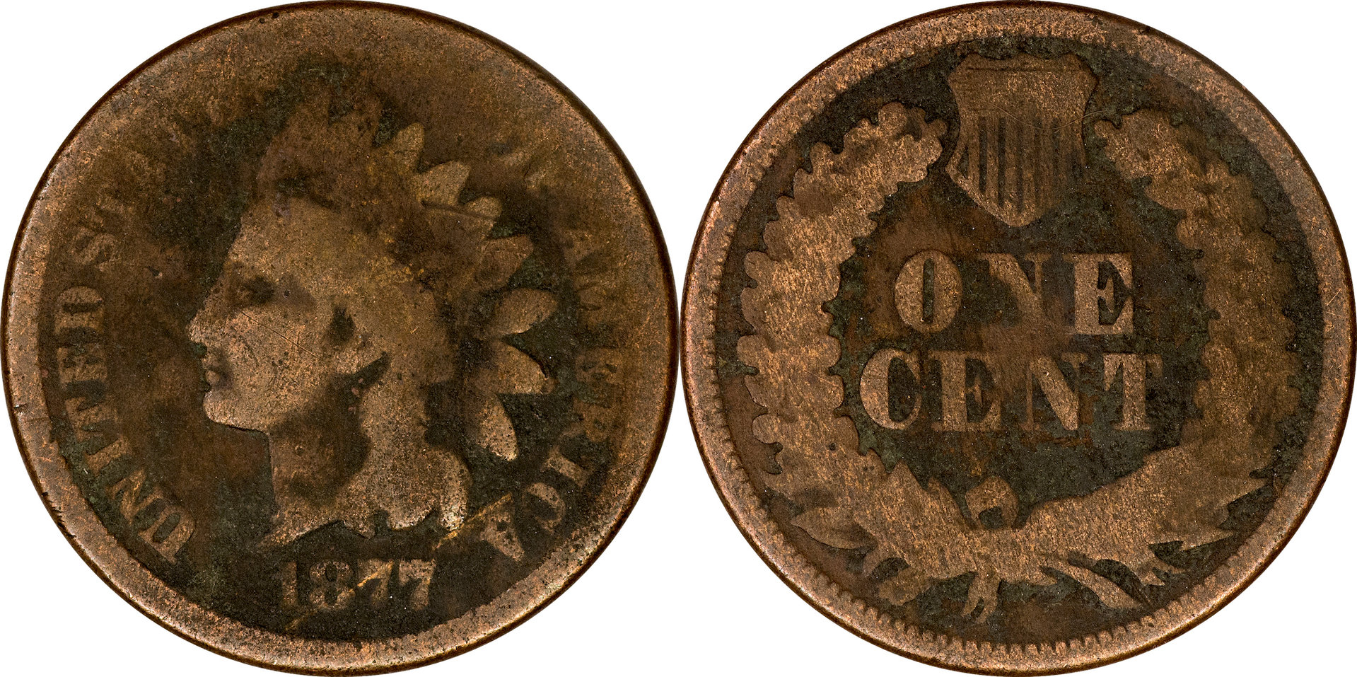 1877 Indian Head Cent.jpg