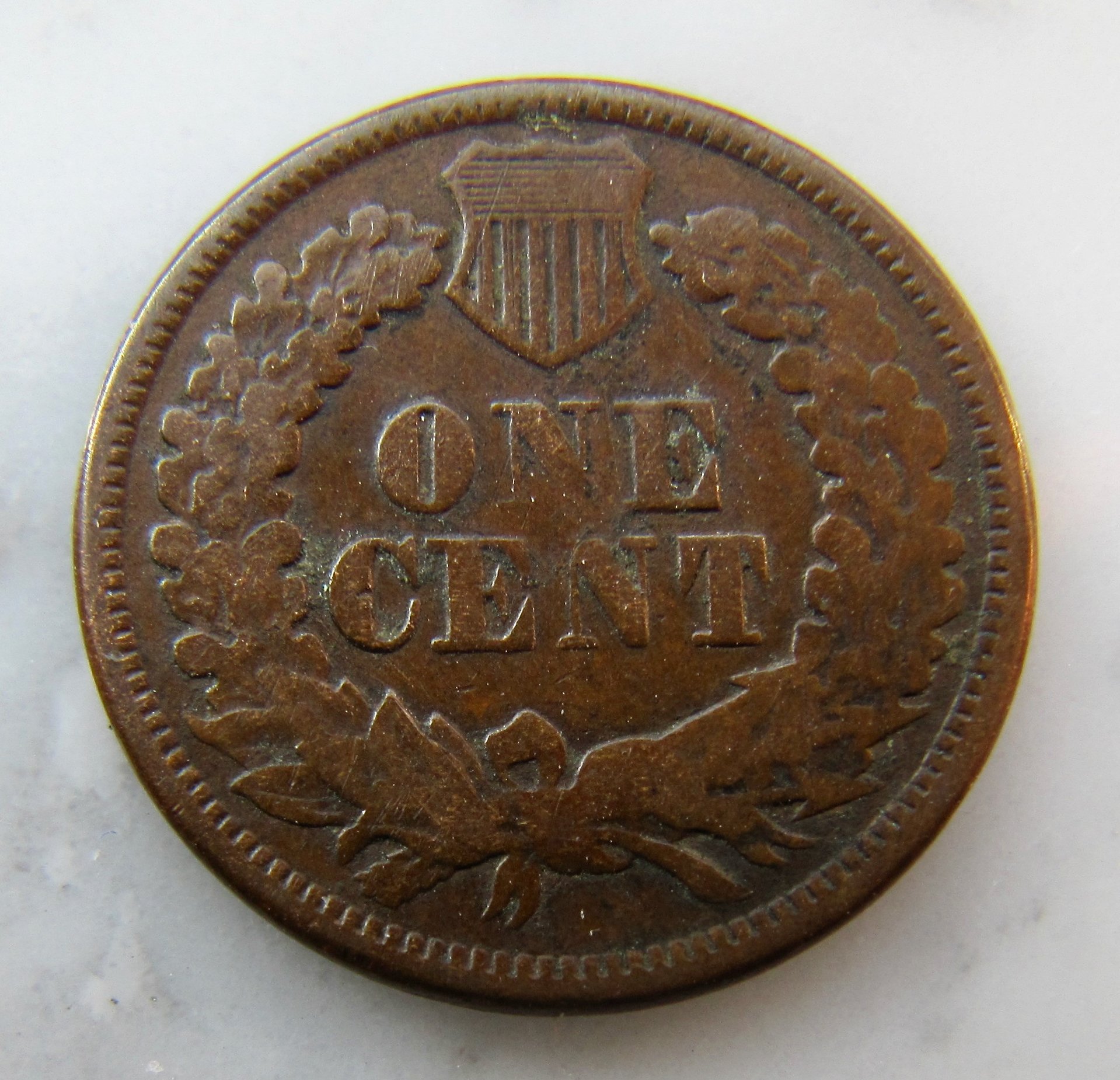 1877 Indian Head Cent REV   - 1.jpg