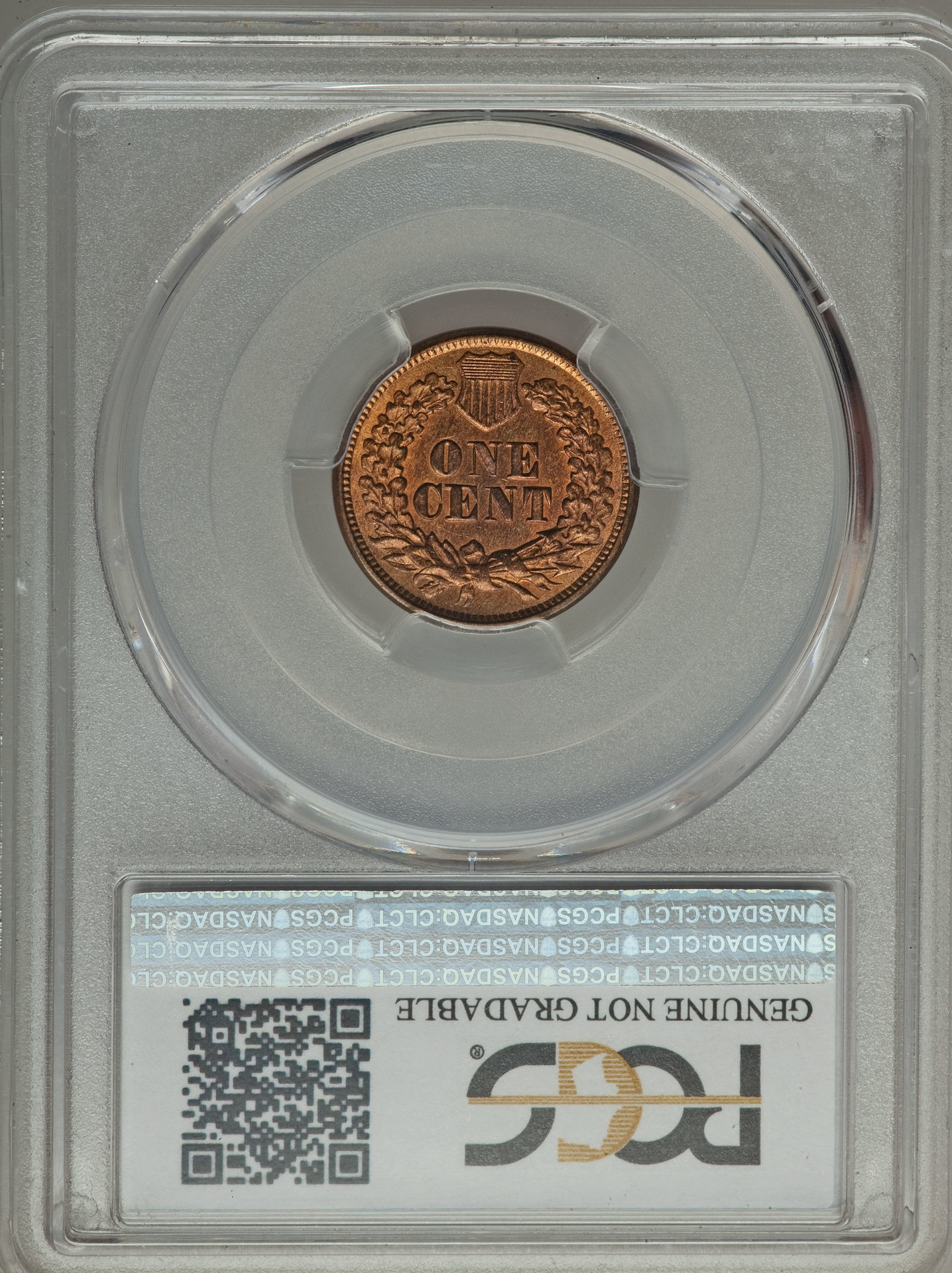 1877 indian reverse.jpe