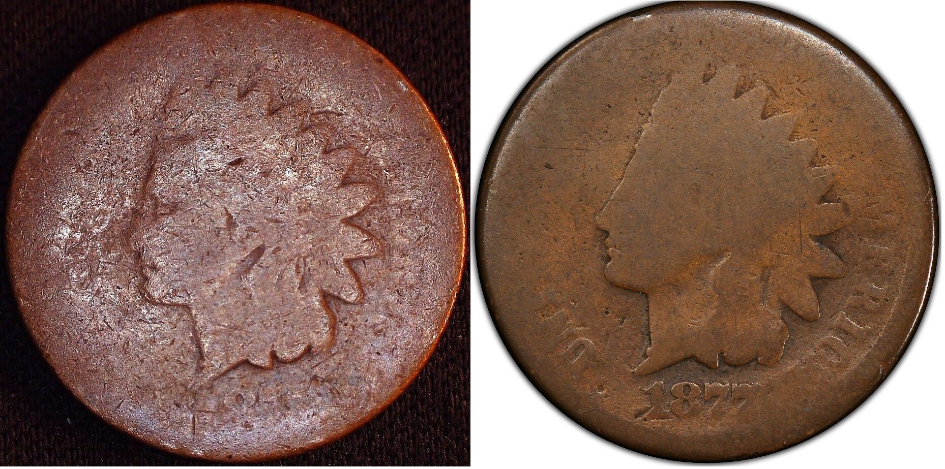 1877-obv.jpg