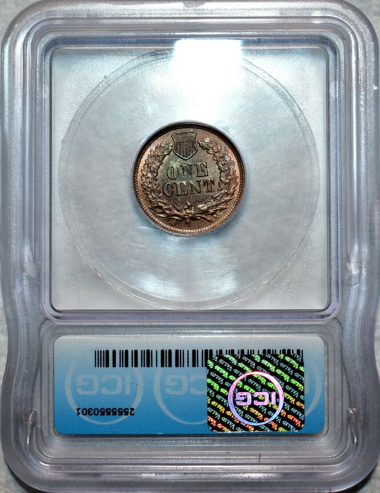 1877 Rev.jpg