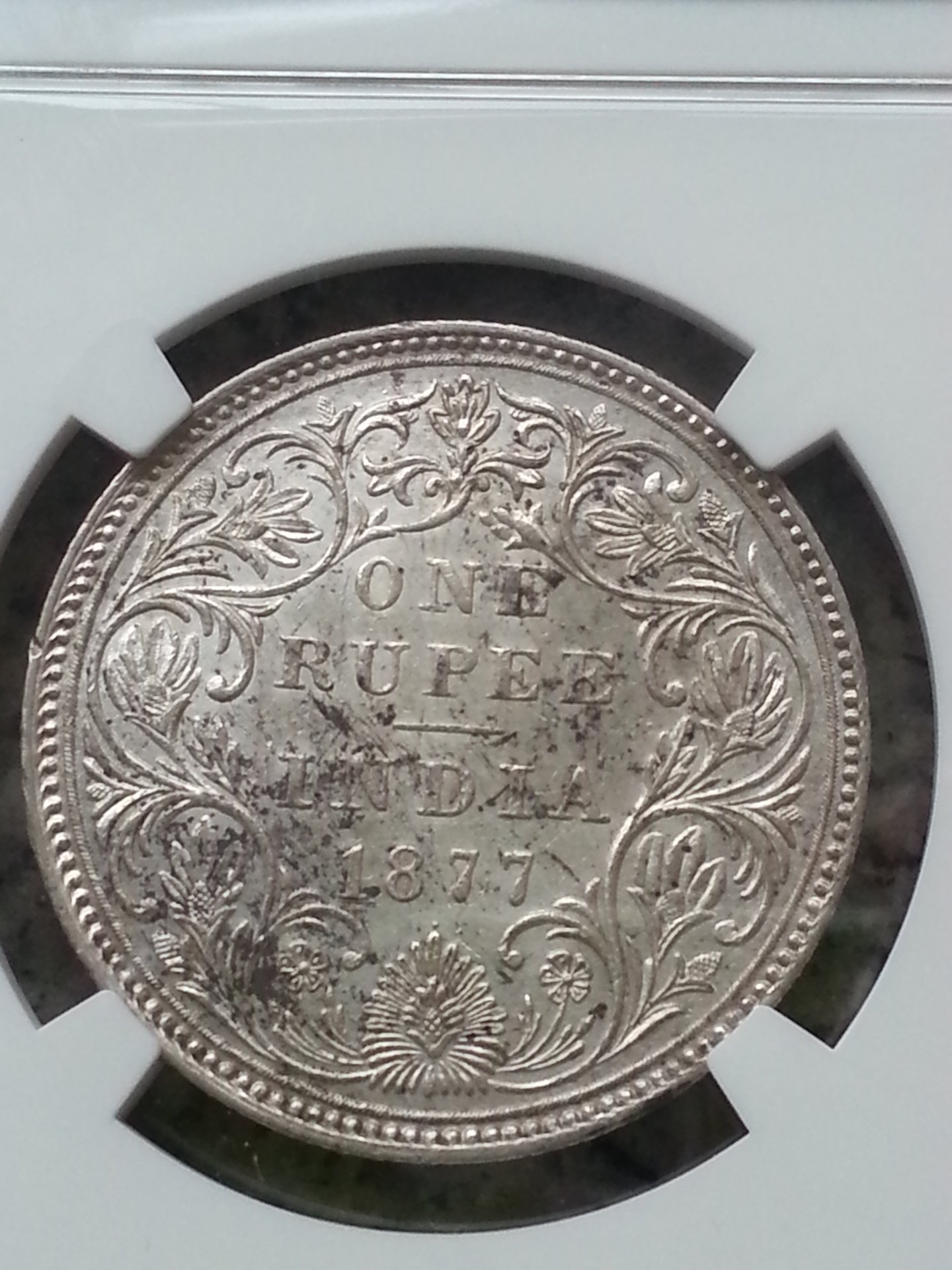 1877z1.jpg