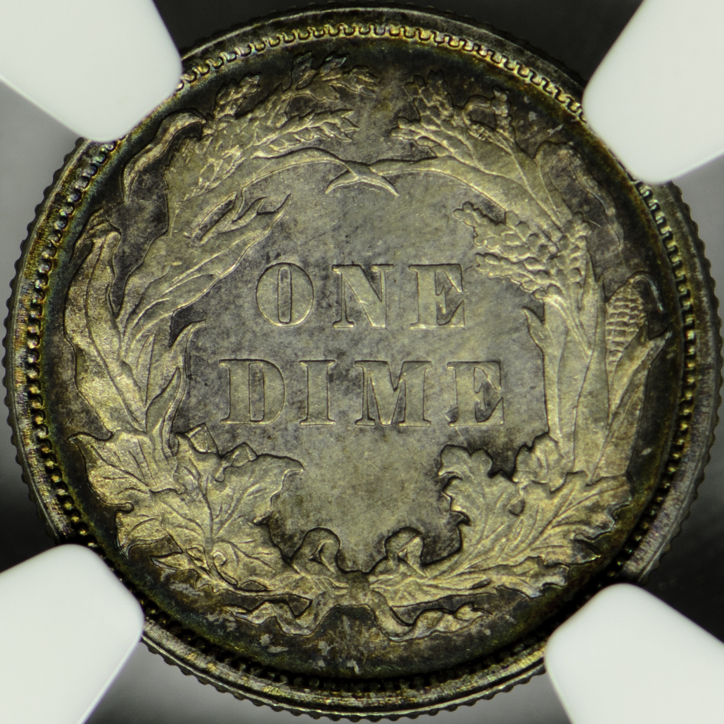 1878 10C MS 63 Rev Closeup.jpg