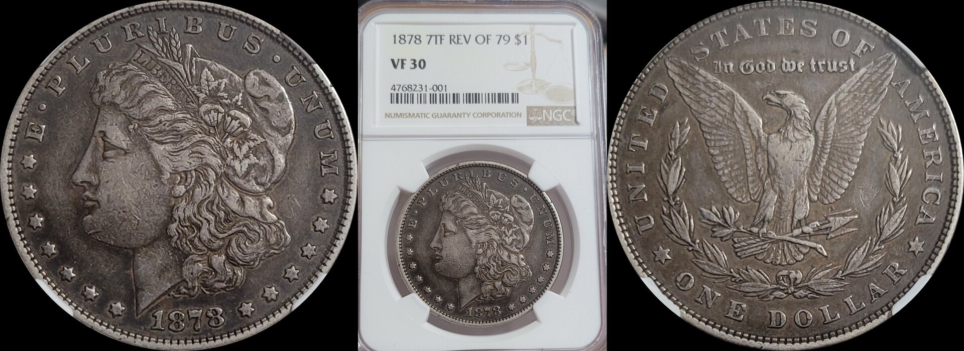 1878 7TF Rev Of 79 $1 L.jpg