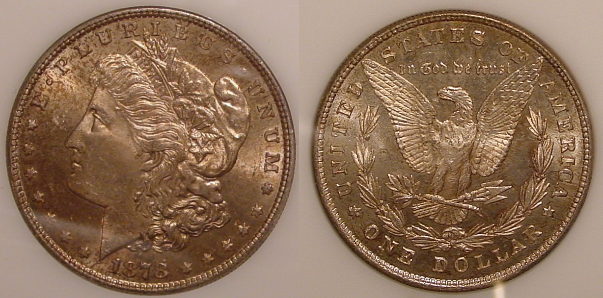 1878 8 Tail Feather Dollar All.jpg