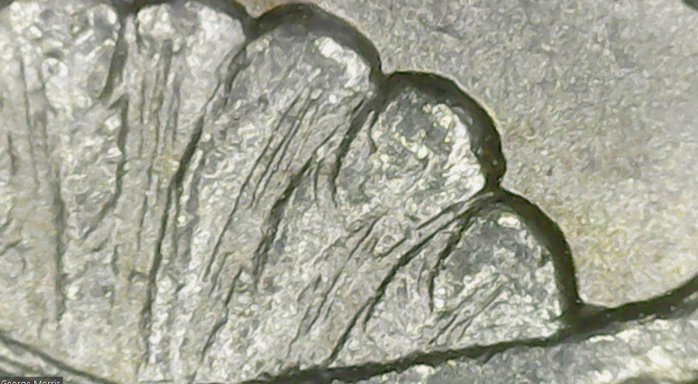 1878 a1 03.jpg