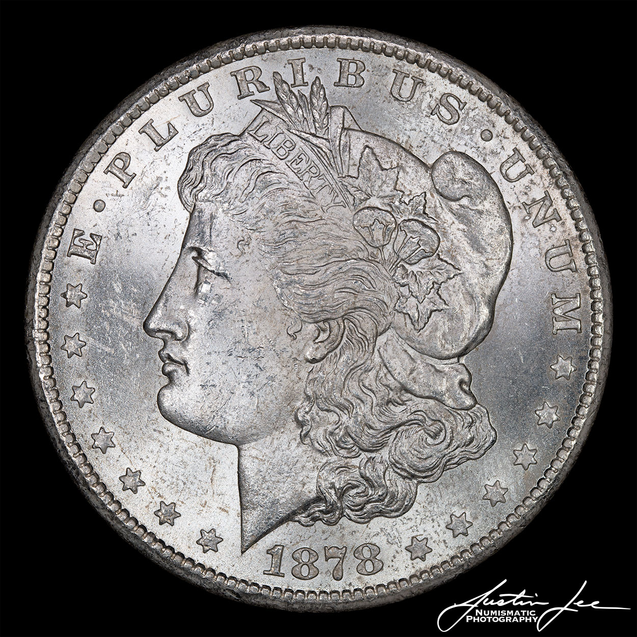 1878-CC-Morgan-Dollar-Obverse.jpg