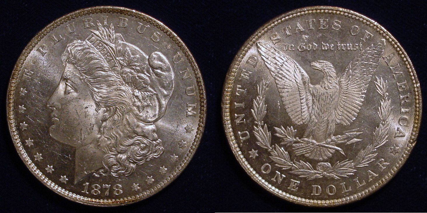 1878 Dol Rev 79 All.jpg
