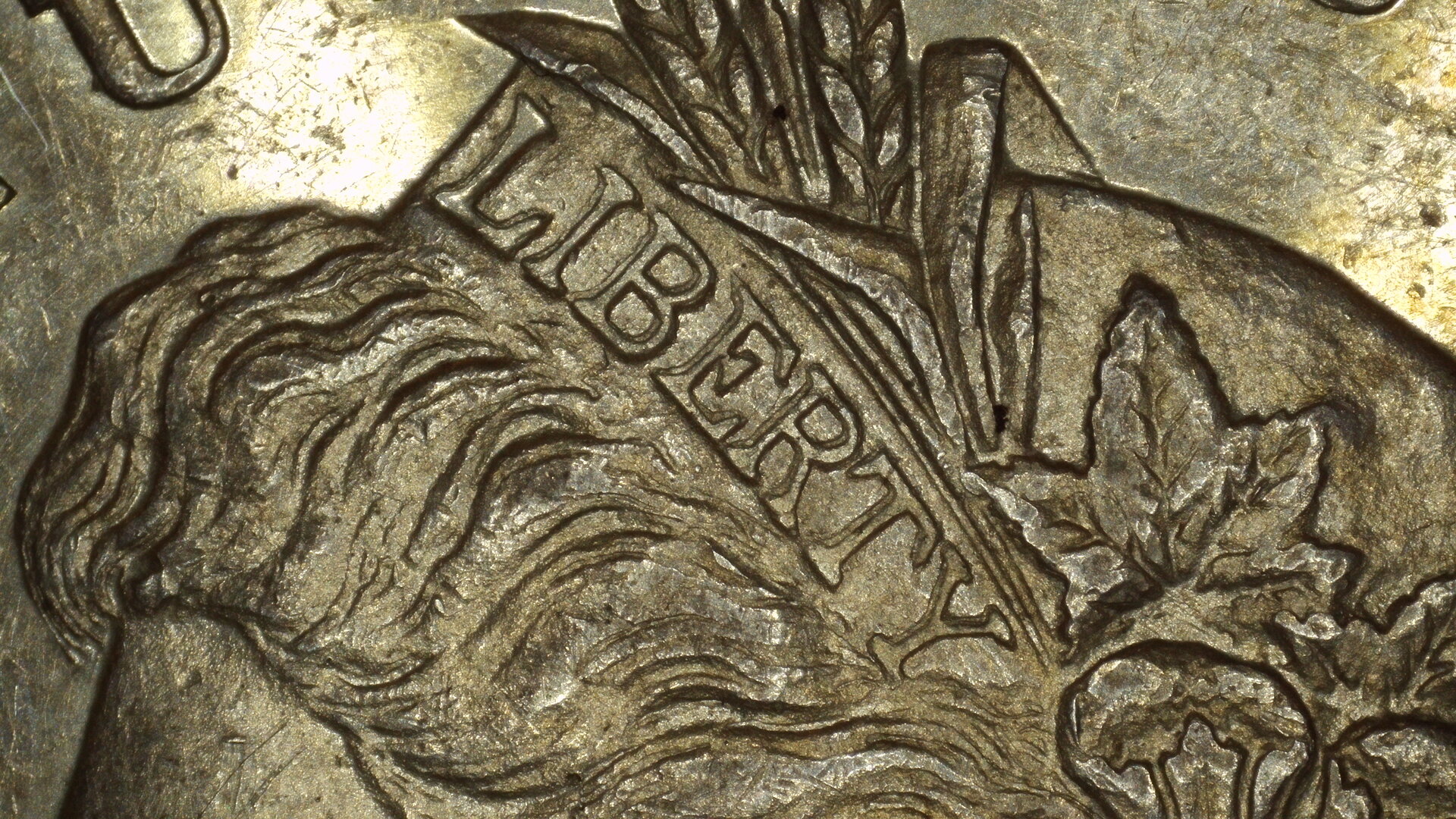1878 LIBERTY 13MP.JPG