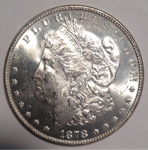1878 Morgan Dollar 7 TF OBV.jpg