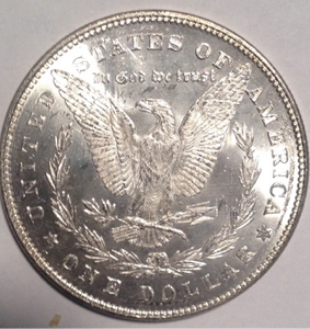 1878 Morgan Dollar 7 TF REV.jpg
